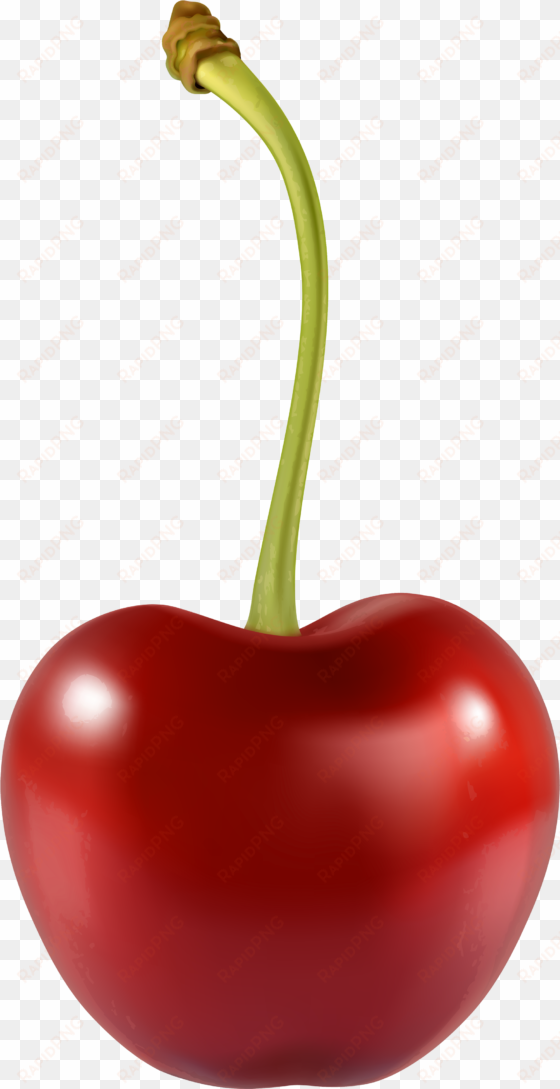 cherry png best web - cherry png