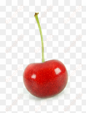 Cherry Png - Cherry Transparent transparent png image