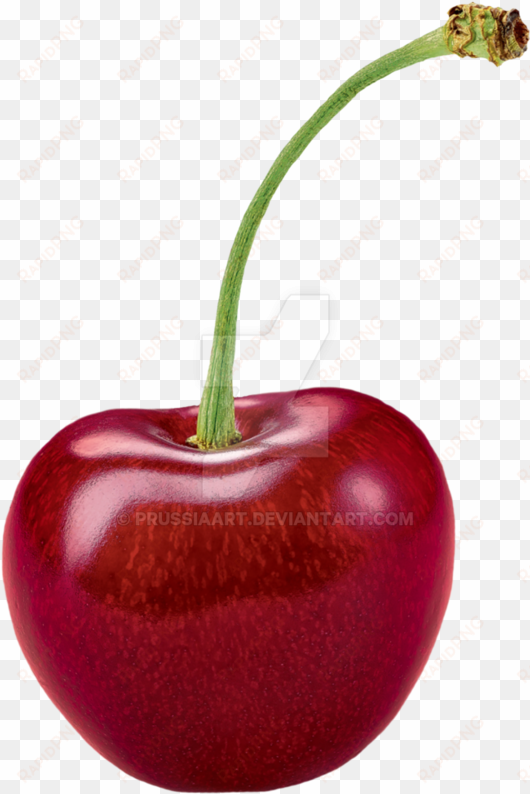 cherry png pic - cherry fruit transparent background