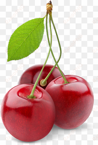 cherry png picture - cheri fruits