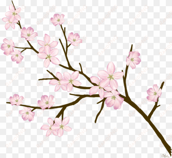 cherryblossom flowers branches freetoedit - quran