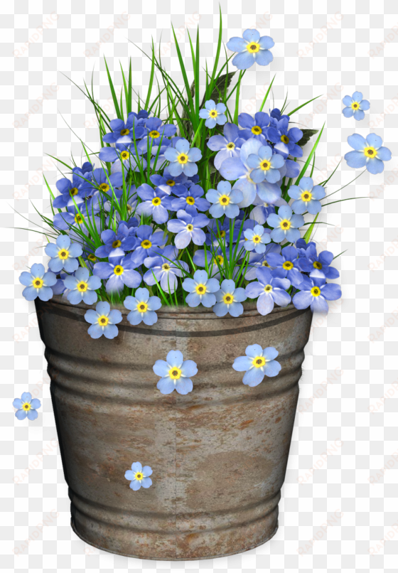 cheyokota digital scraps - forget me not logo png
