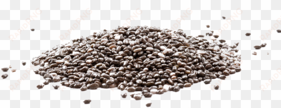 chia seeds - chia seeds argentina