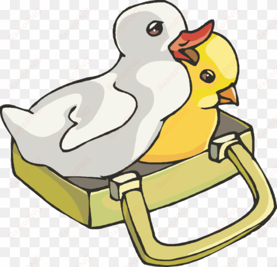 chick and duck clipart