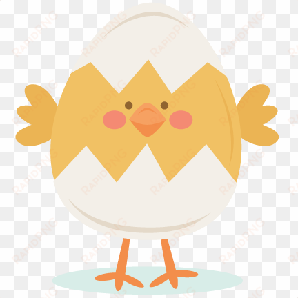 chick in egg svg scrapbook cut file cute clipart files - chick in egg cute