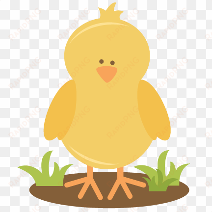 chick transparent spring vector free stock - miss kate cuttables spring