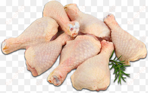 chicken drumsticks - chicken as food