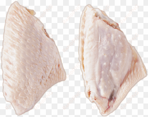 chicken meat