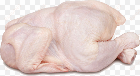 Chicken Meat Png Transparent Library - Chicken Meat Png transparent png image