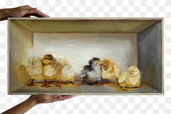chicks in a box - sheep