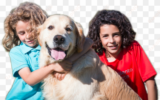 children with retriever goldern - cocker spaniel