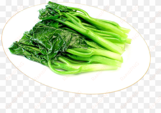 chinese broccoli vegetable spinach food - chinese broccoli