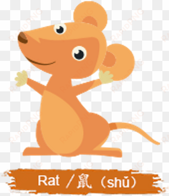 chinese rat