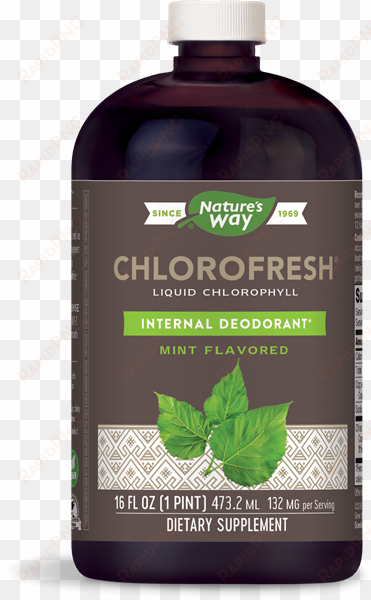 chlorofresh mint liquid chlorophyll - nature's way chlorofresh mint