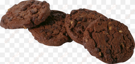 chocolate biscuit png