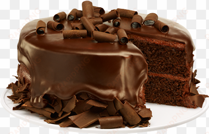 chocolate cake png - chocolate cake .png