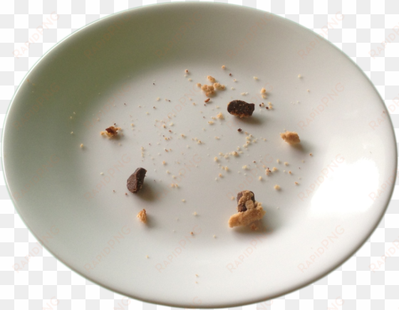 chocolate chip cookie crumbs on plate - cake crumbs on plate