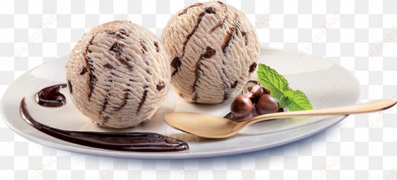 chocolate hazelnut - hazelnut ice cream png