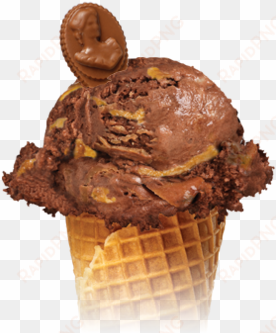 chocolate peanut butter cup - laura secord ice cream