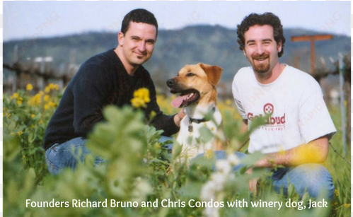 chris condos and richard bruno began vinum after becoming - vinum cellars inc