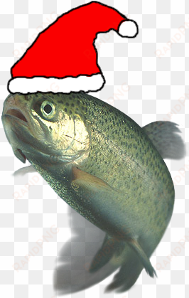 Christmas Festive Trout - Domesticated Trout: How To Breed And Grow Them transparent png image