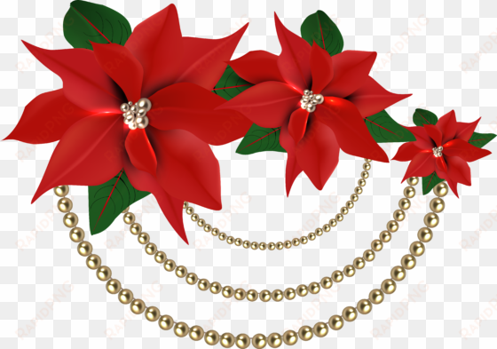 christmas flowers png - christmas red poinsettia png