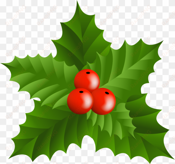 Christmas Holly Border Png transparent png image