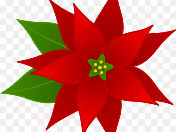 christmas poinsettia clipart - poinsettia clip art