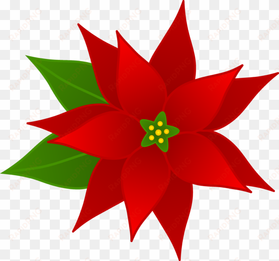 christmas poinsettia flower - poinsettia clipart