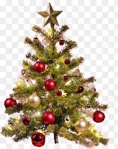 Christmas Tree Transparent Background Png Png Royalty - Decorated Christmas Tree Png transparent png image
