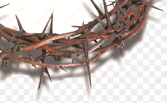 Church] Crown Of Thorns And Nails Png - Enslaved To Saved: The Metaphor Of Christ As Our M transparent png image