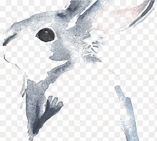 cinnamon rabbit watercolour flowers drawing watercolor - rabbit watercolor painting