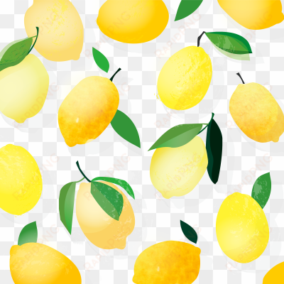 citrus pattern design, 2016moa engblomcitrus pattern - meyer lemon