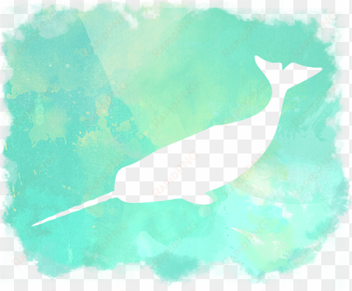 click and drag to re-position the image, if desired - narwhal