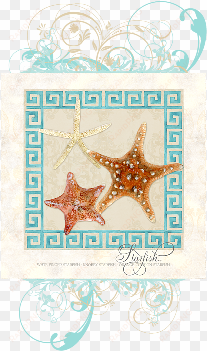 click and drag to re-position the image, if desired - starfish sea shells seashells, greek throw blanket