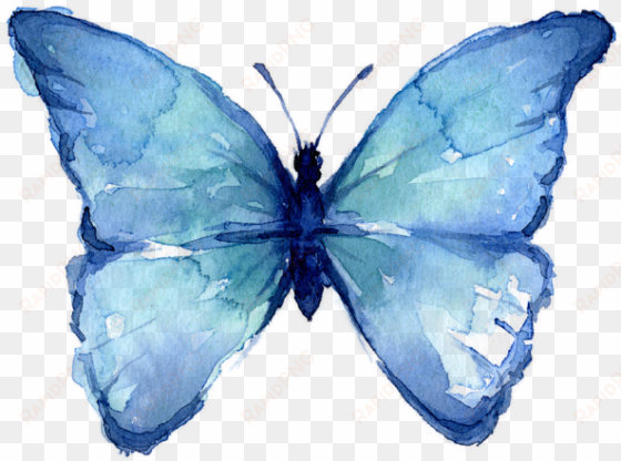 click and drag to re-position the image, if desired - watercolor blue butterfly png
