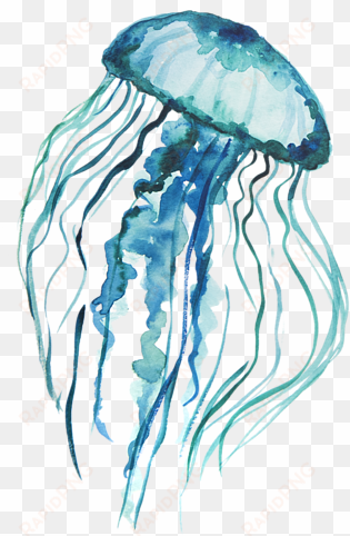 click and drag to re-position the image, if desired - watercolor jellyfish