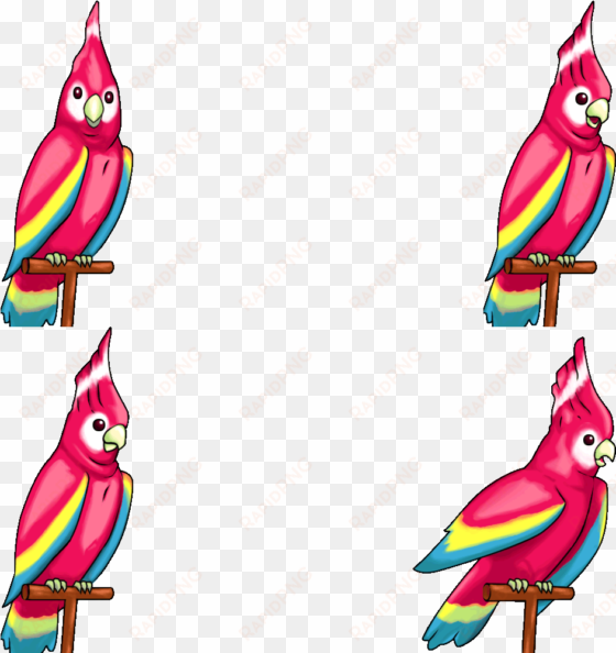 click for full sized image polly - phoenix wright parrot polly