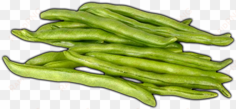 click here to see greenbeans album - food