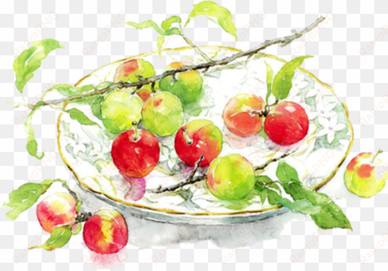 clip art library download apples transparent watercolor - marie's watercolor