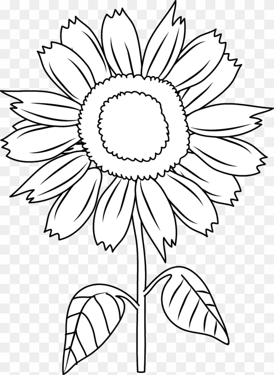 clip art library download sunflower black and white - clip art