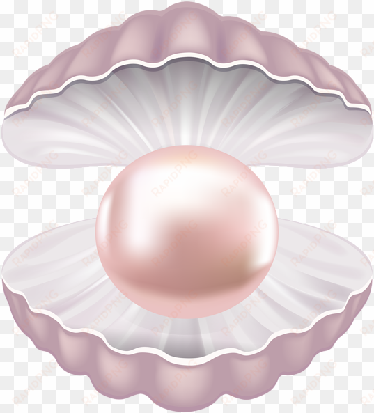 clip art library pearl shell transparent clip art image - shell pearl clipart png