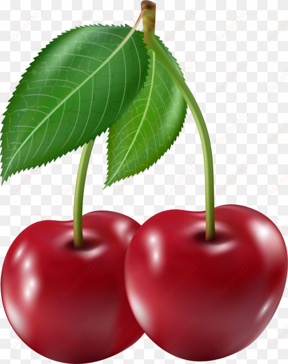 clip art png image - cherry