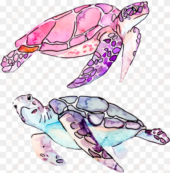 clip art sea cartoon illustration transprent png free - watercolor sea turtle clipart