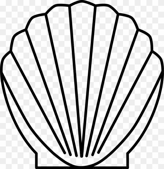 clip art sea shell