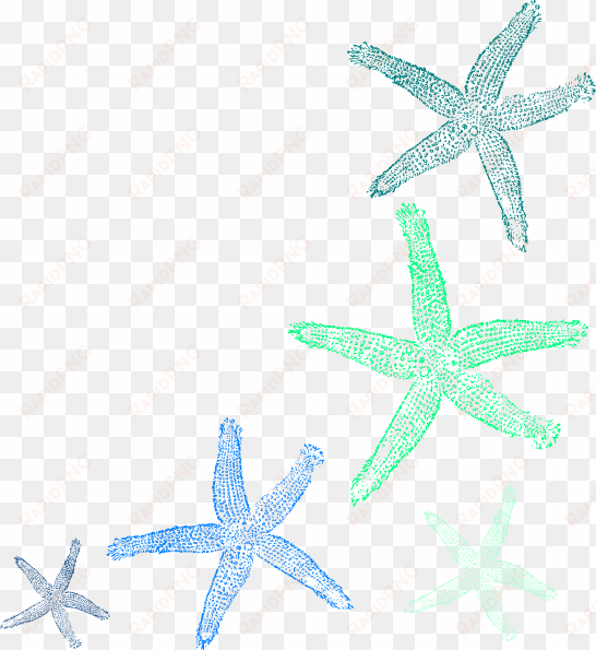 clip art transparent library starfish clip art seashell - watercolor seashell clipart