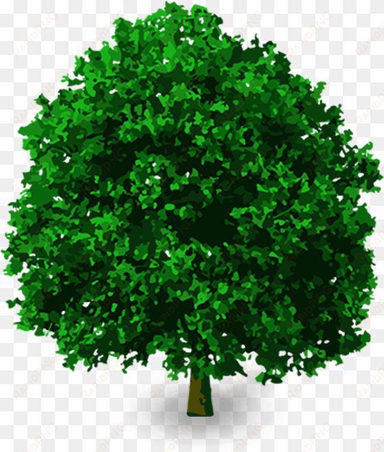 clip art, youtube thumbnail, tree images, 3d tree, - portable network graphics