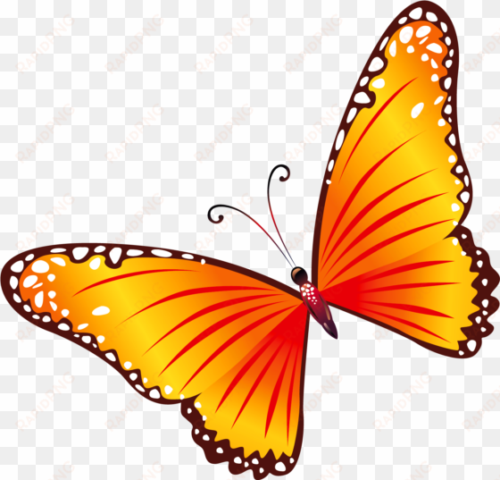 clip arts related to - butterfly clipart png