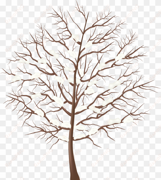 clip arts related to - winter tree transparent
