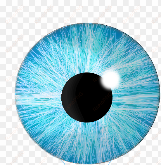 clip black and white stock color transparent eye - eye colour png hd